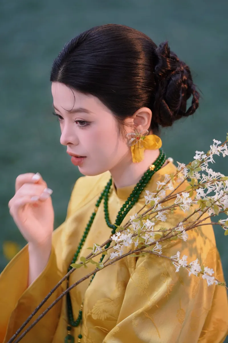 Chân dung Áo Dài